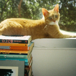 Photo #3 Photo #3