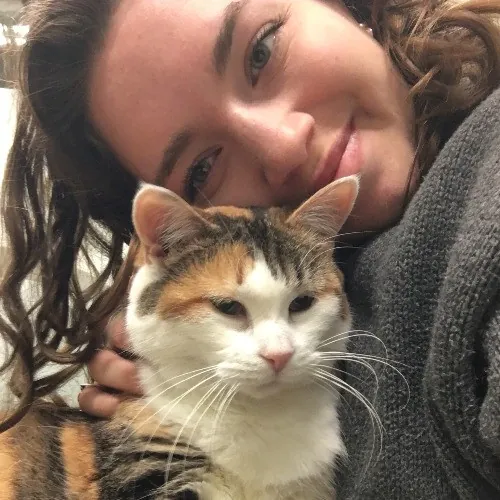 Trustworthy Tali's Dependable Cat Care