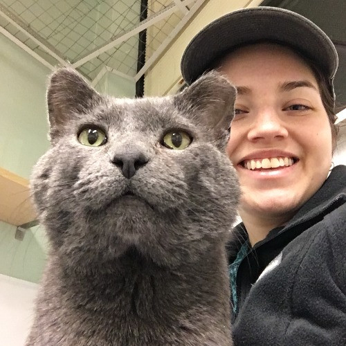 Trustworthy Tali's Dependable Cat Care