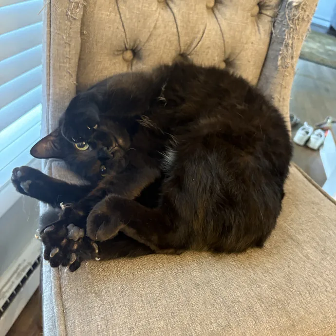 Ella S.