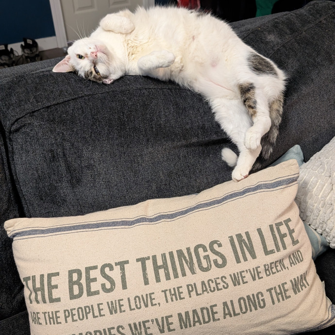 Kristen's Paws Purrs Concierge