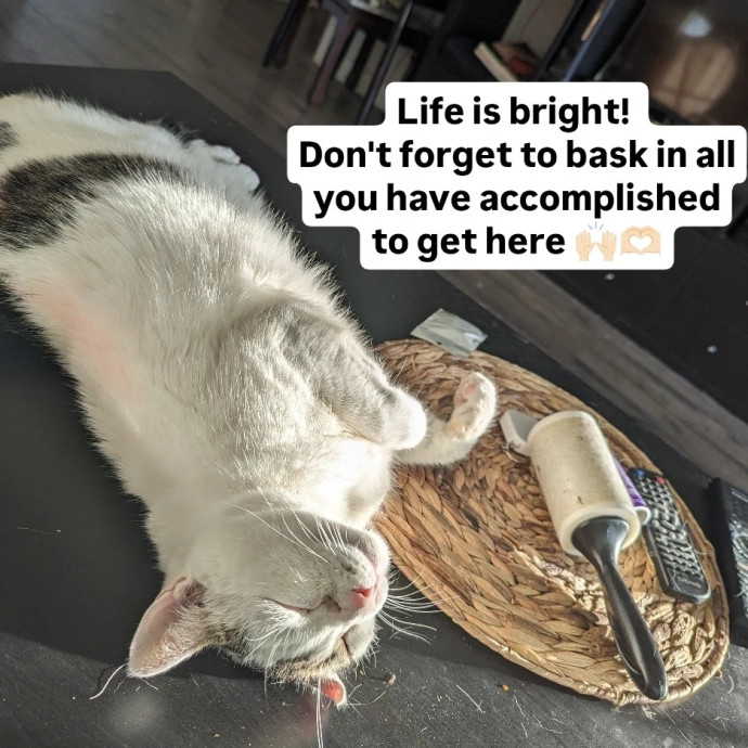 Kristen's Paws Purrs Concierge photo 3