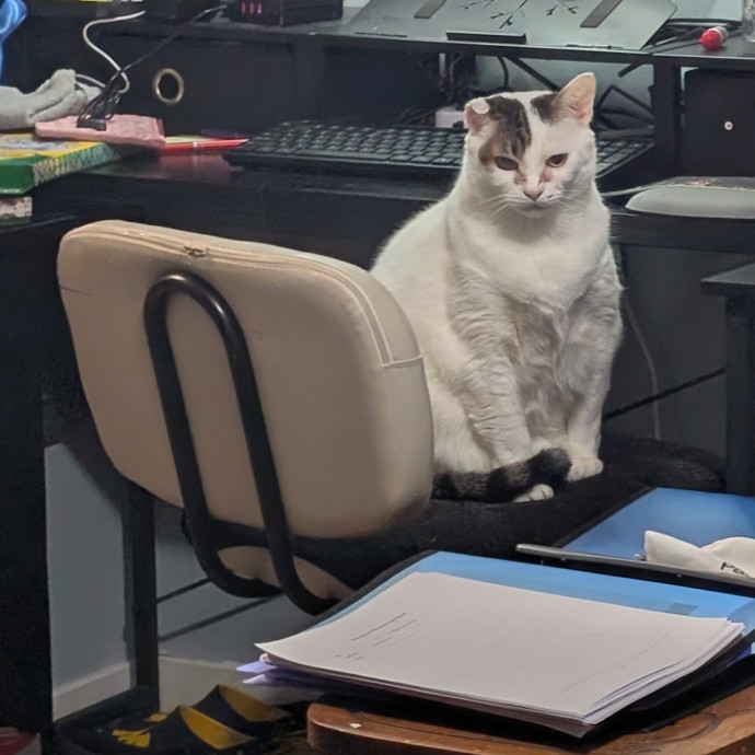 Kristen's Paws Purrs Concierge photo 2