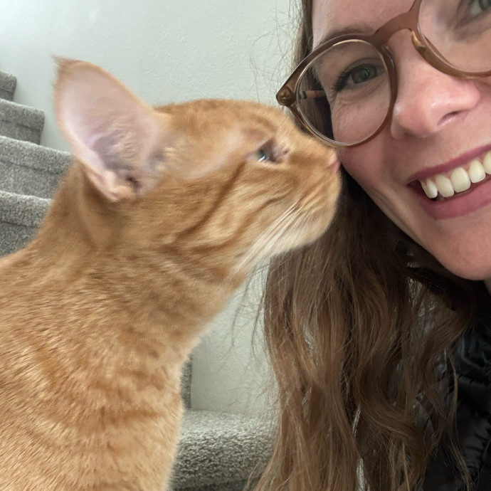 Clarity's Kitty Care