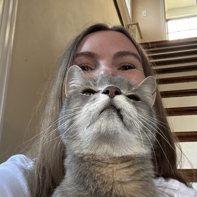 Clarity's Kitty Care photo 2