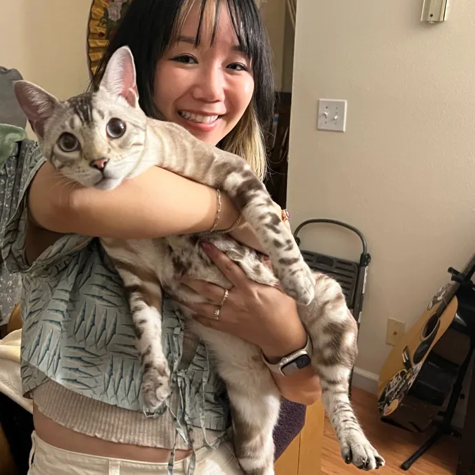 Little Meowmaid Seattle Cat Sitting