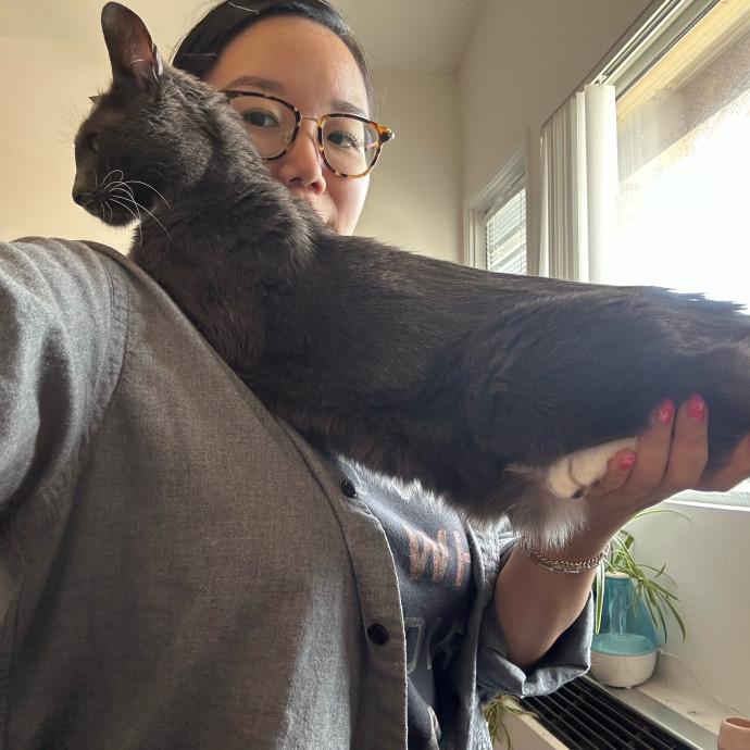 Little Meowmaid Seattle Cat Sitting