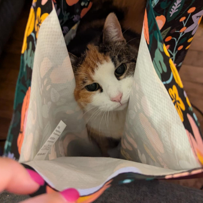 Stefani- Mke Cat Lover 
