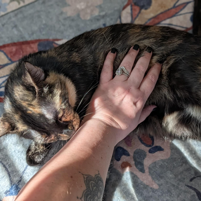 Stefani- Mke Cat Lover 