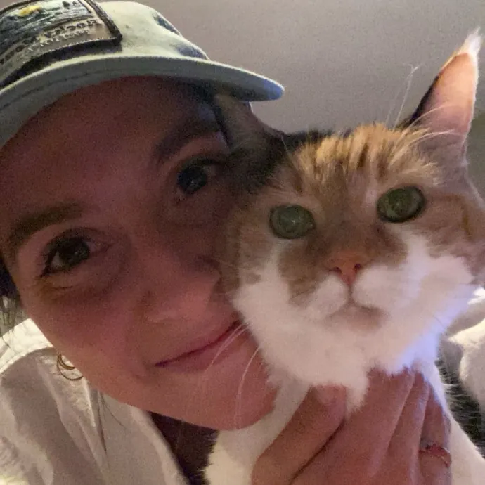 Kitty Condo Hangout photo 3