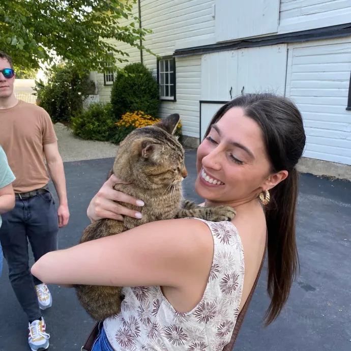 Kitty Condo Hangout photo 2