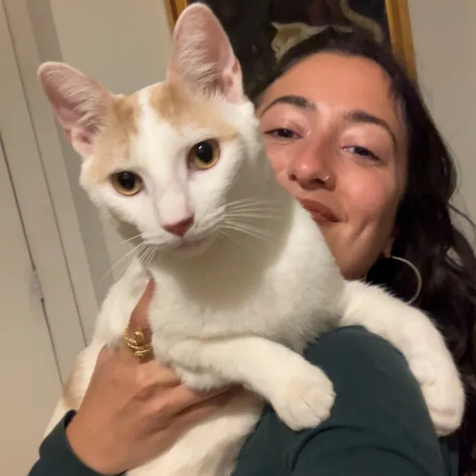 Loving Attentive Reliable Cat Sitter