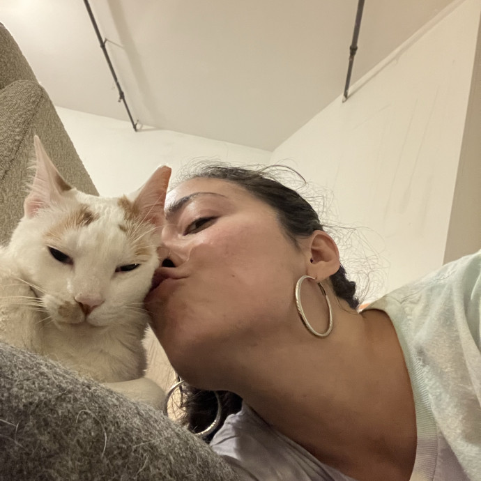 Loving Attentive Reliable Cat Sitter