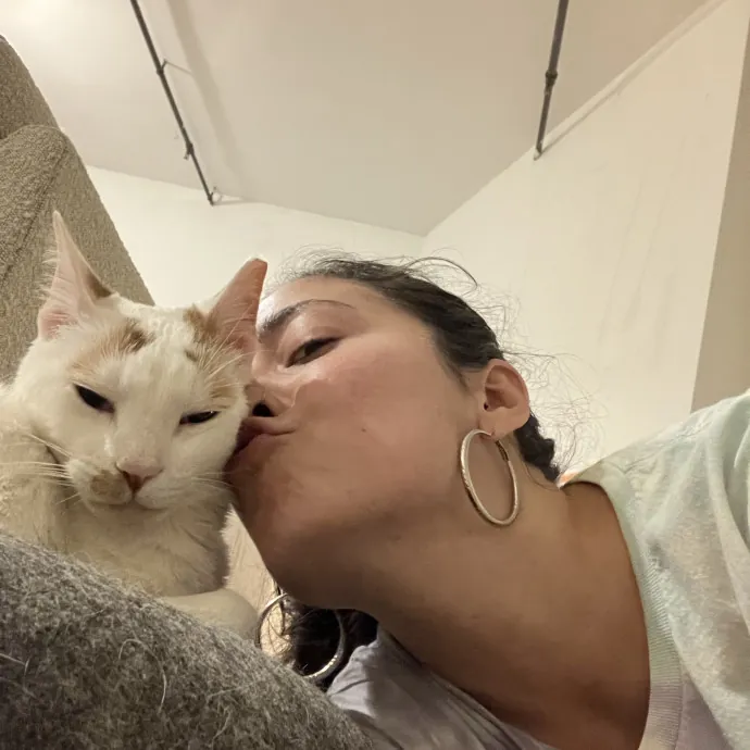 Loving Attentive Reliable Cat Sitter
