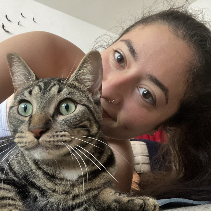 Loving Attentive Reliable Cat Sitter