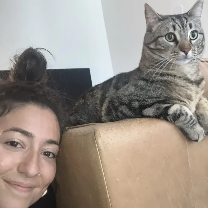 Loving Attentive Reliable Cat Sitter