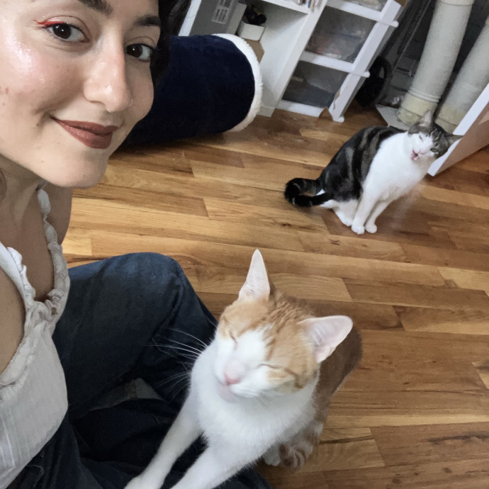 Loving Attentive Reliable Cat Sitter