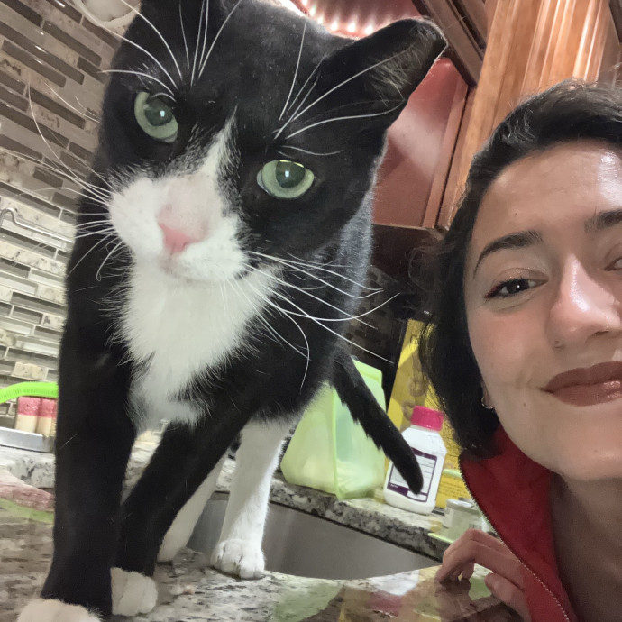 Loving Attentive Reliable Cat Sitter
