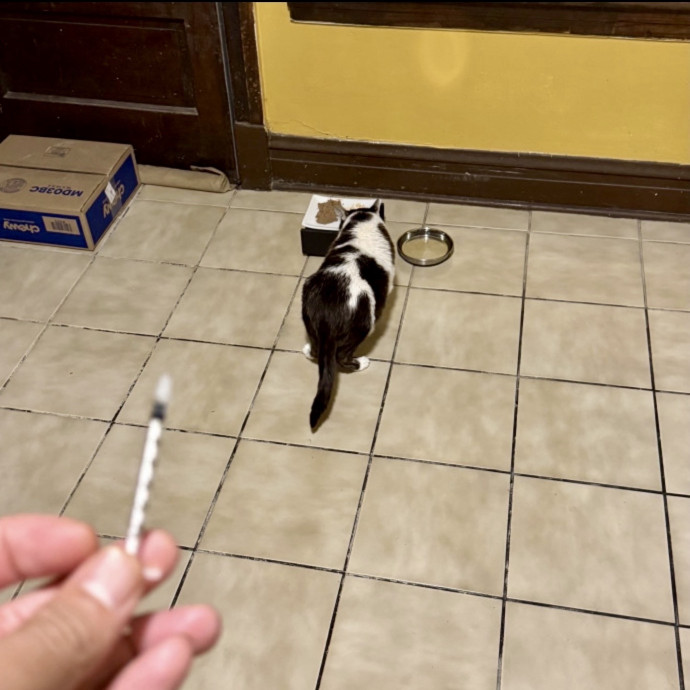 Certified 31-Yrs Exp Ex-Pet Store Owner