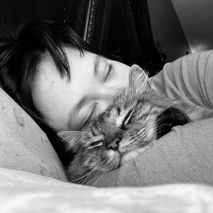 Pampered Like An Aristocat