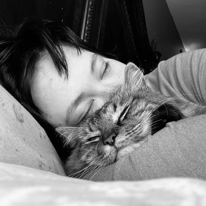 Pampered Like An Aristocat