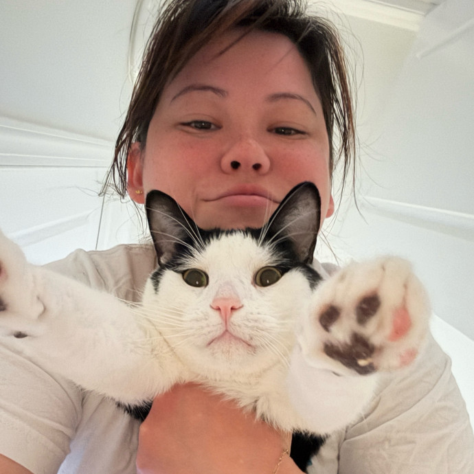 Pampered Like An Aristocat