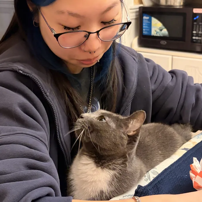 Chania's Cat Care