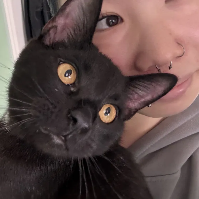 Chania's Cat Care