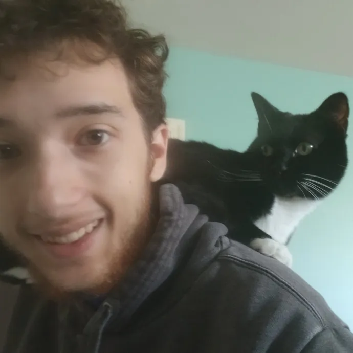 Sitter Friend And Caregiver For Cats