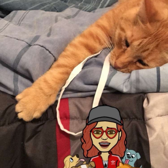 Pawsitive Vibes Only