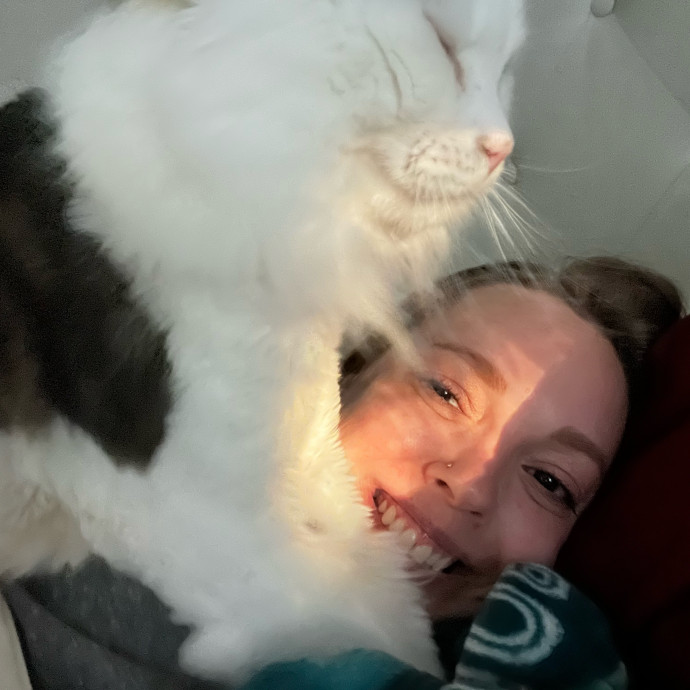 Nicole's Kitties Of All Ages Cat Care photo 3