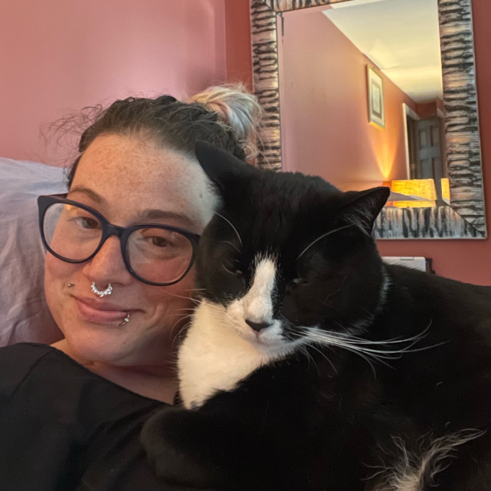 Katie's Cozy Cat Sitting photo 2