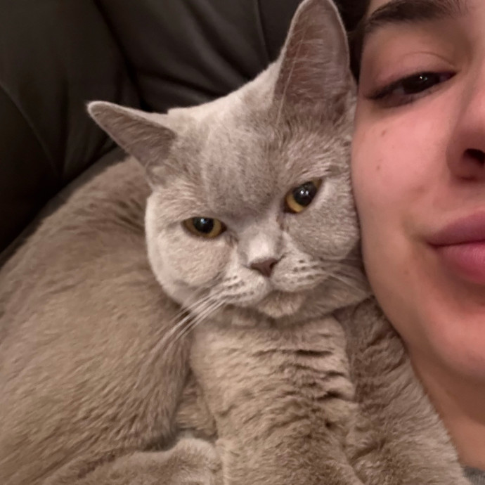 Cat-Loving Dentist