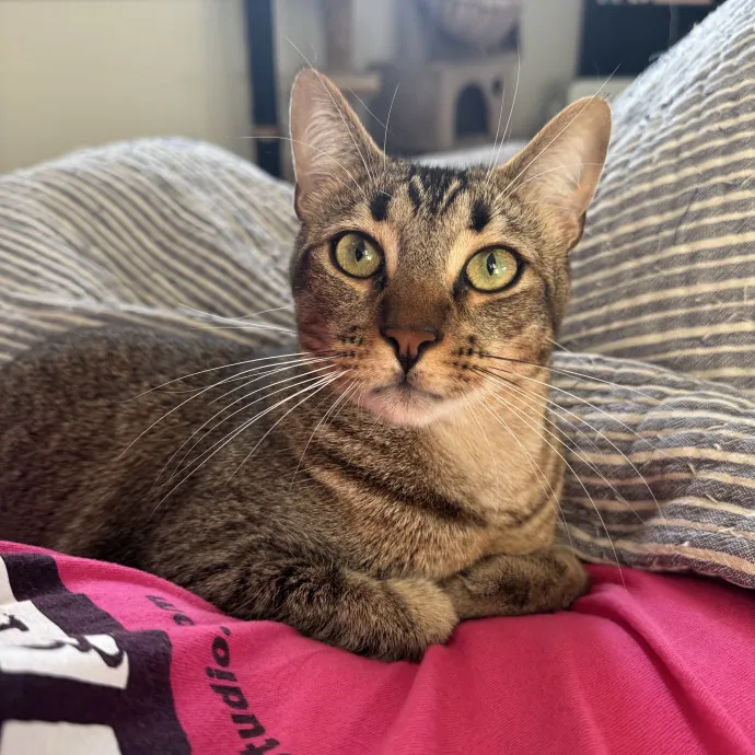 Margaret's Menagerie photo 3