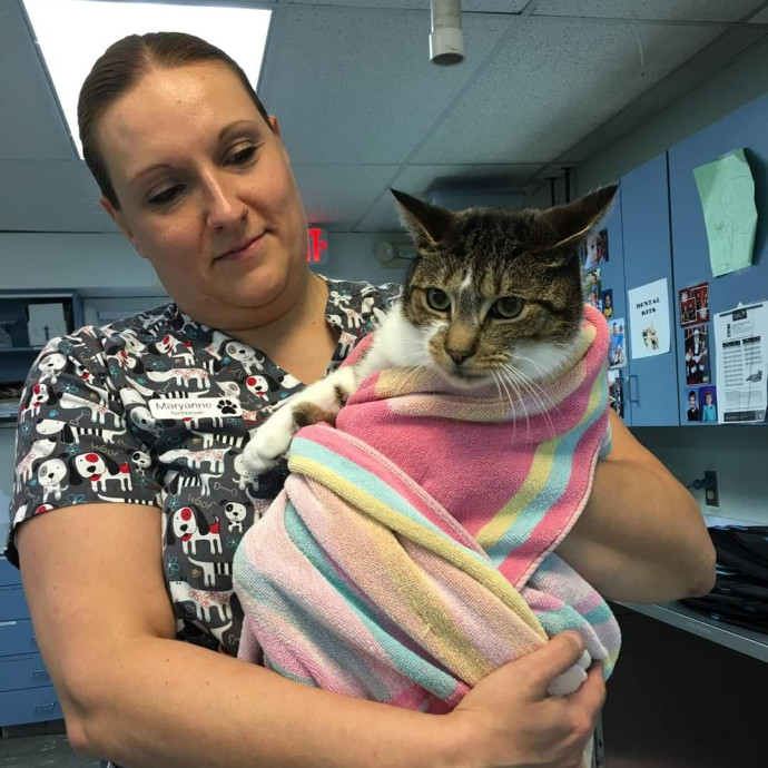 Loving Cat Care While You're Away