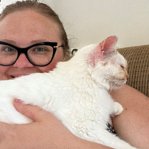 Snuggles And Cat Care By Sarah