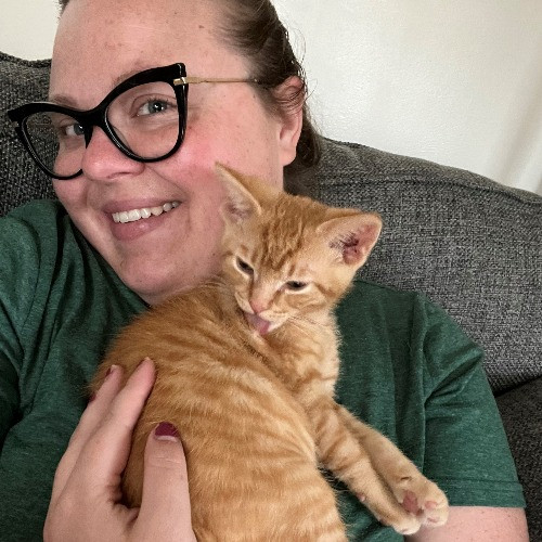 Snuggles And Cat Care By Sarah