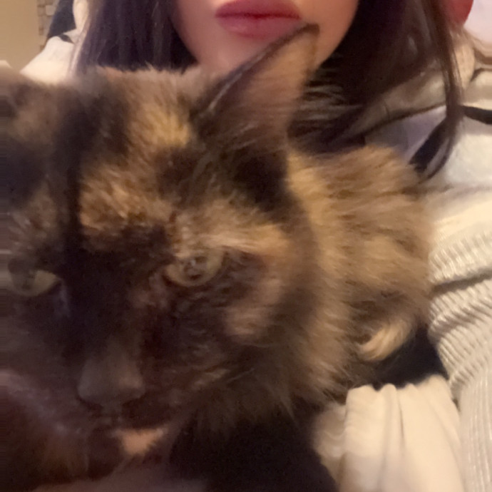 Purr-Fect Care For Your Pawsome Fur-Baby
