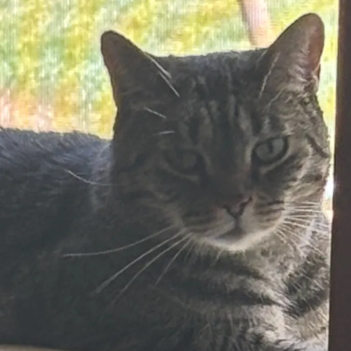 Hazel L.