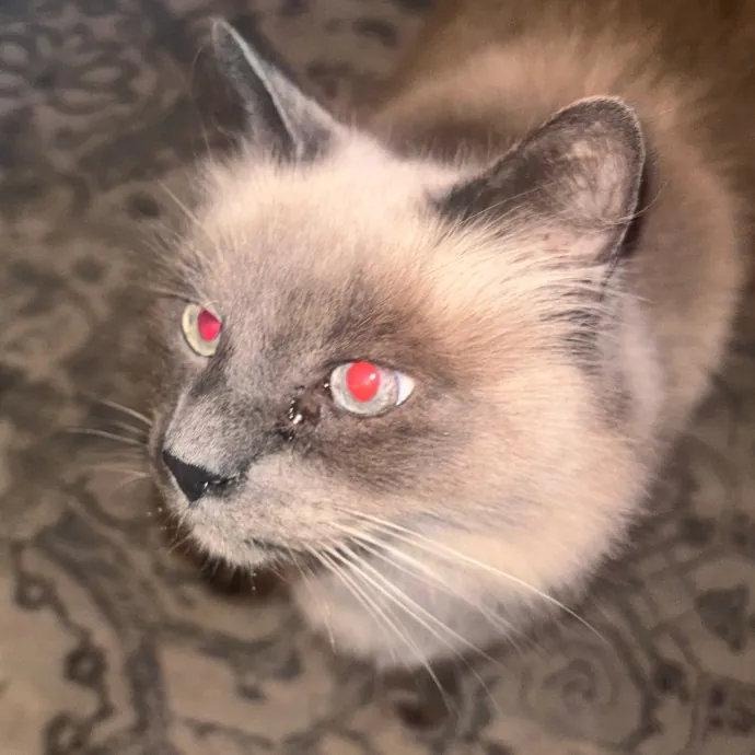 Hazel L.