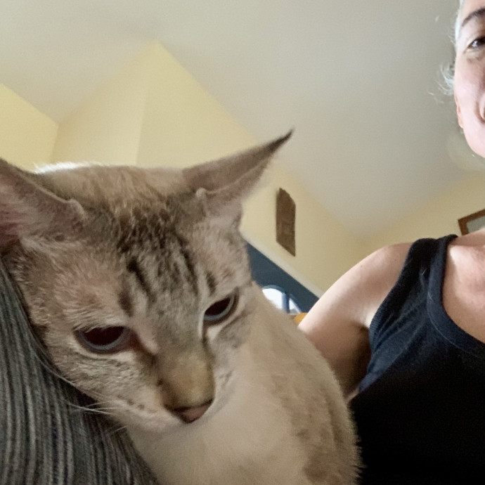 Powered By Purrs photo 2
