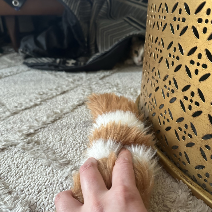 Cat Whisperer