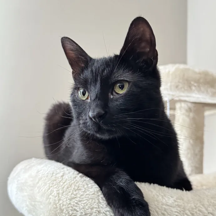 Emma M.