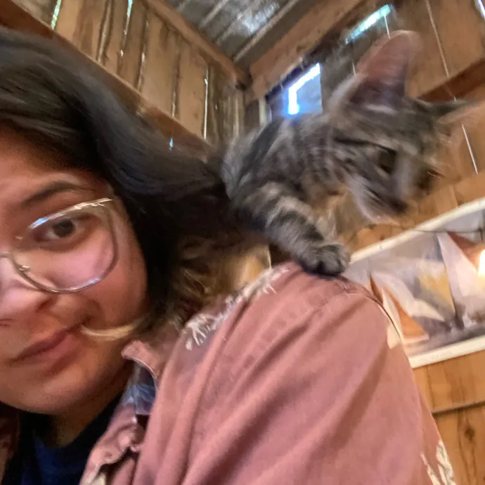 Excited To Become Your Cat's New Friend