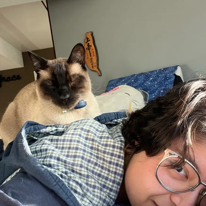 Excited To Become Your Cat's New Friend