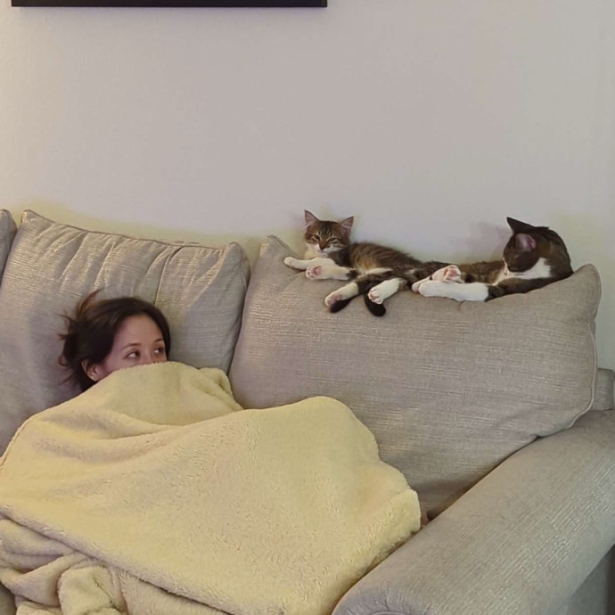 Your Cat's New Favorite Neighbor photo 3