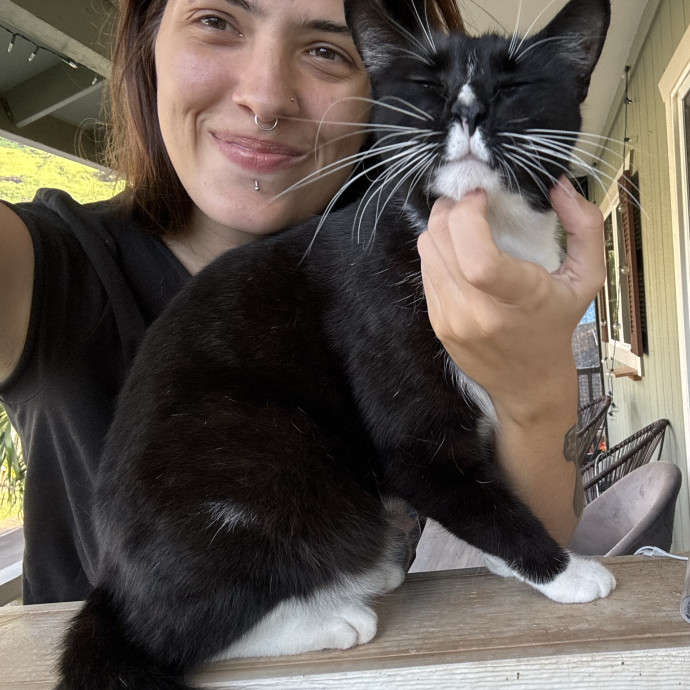 Your Cat's Favorite Sitter photo 3