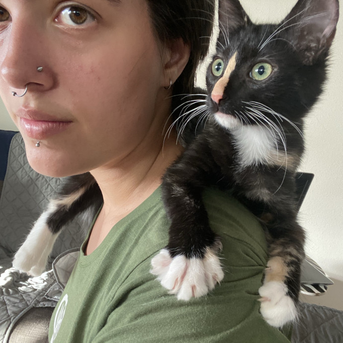 Your Cat's Favorite Sitter photo 2