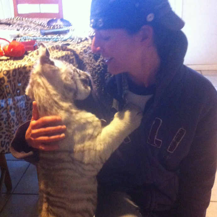 Mandy Jackson Aka Ultimate Cat Lady