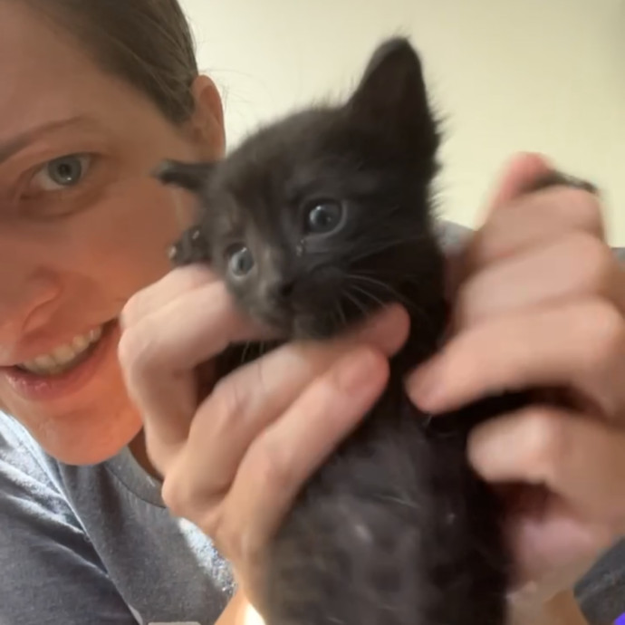 Mandy Jackson Aka Ultimate Cat Lady